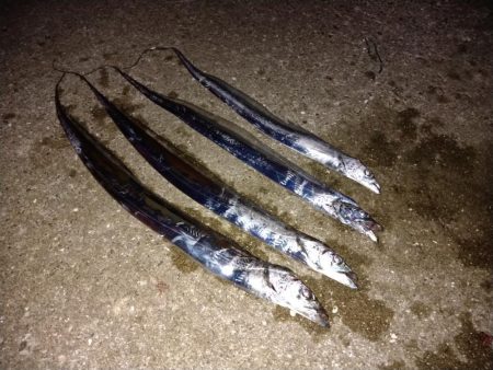 ミスバイト多発